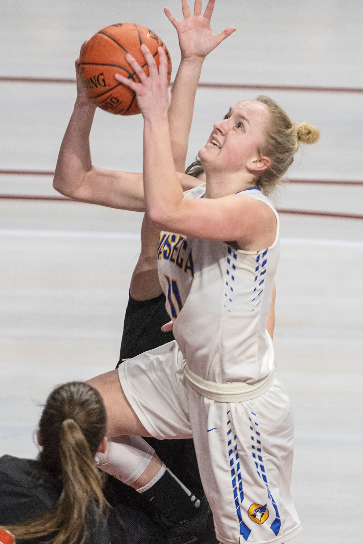 Waseca GBball vs PR 4